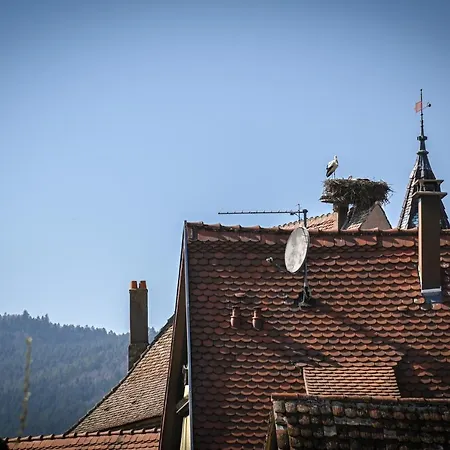 Casa de hóspedes Le Hameau D'eguisheim - D'hôtes&gîtes