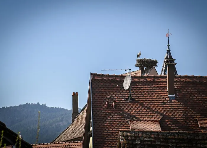 فندق مبيت وإفطار Hameau D'eguisheim